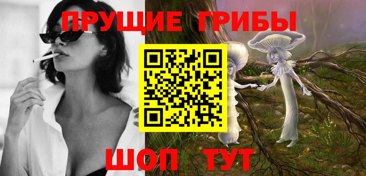 Малоярославец  Псилоцибиновые грибы ЛСД  Вход с VPN  Псилоцибиновые грибы мухоморы 